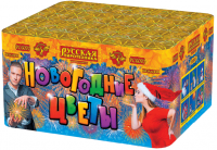 Новогодние цветы Фейерверк купить в Заволжске | zavolzhsk.salutsklad.ru