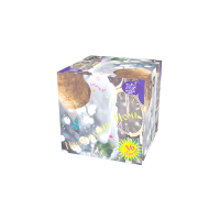 Новогодняя ночь Салют купить в Заволжске | zavolzhsk.salutsklad.ru