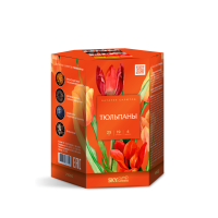 Тюльпаны Салют купить в Заволжске | zavolzhsk.salutsklad.ru