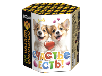 Счастье есть! Салют купить в Заволжске | zavolzhsk.salutsklad.ru