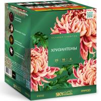 Хризантемы Фейерверк купить в Заволжске | zavolzhsk.salutsklad.ru