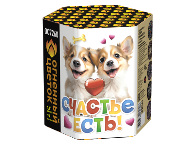 Счастье есть! Салют купить в Заволжске | zavolzhsk.salutsklad.ru